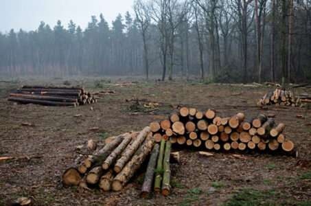 The Depletion of Earth's Resources